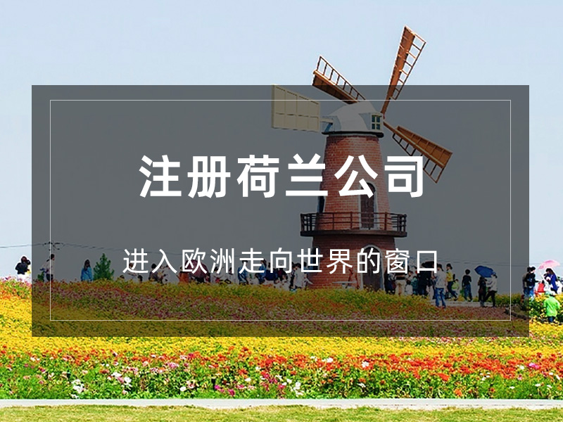 中国香港公司年审