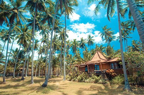 塞舌尔注册公司基本条件