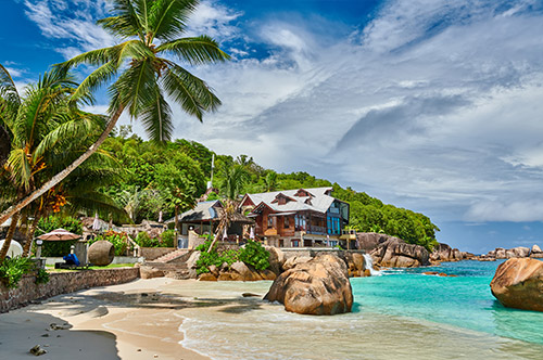 注册塞舌尔公司基本有哪些类型吗?