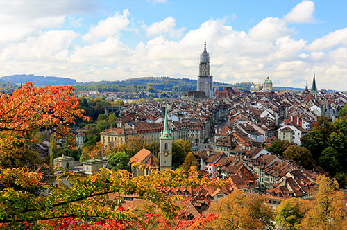 荷兰公司年审审计有哪些资料