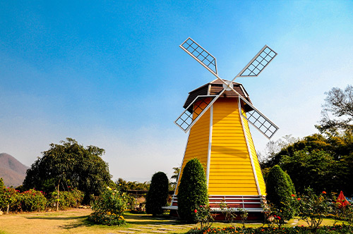 荷兰公司税率情况