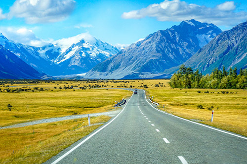 新西兰公司入驻电商平台有什么优势